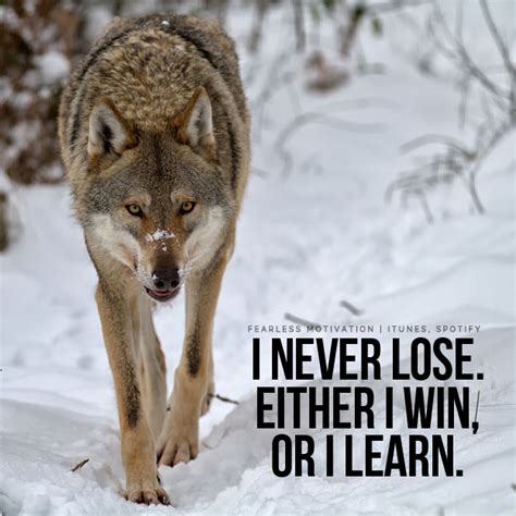wolf pack motivational quotes
